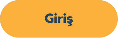Giriş